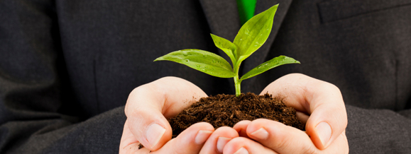 persons hands holding some soil with a plant in the middle